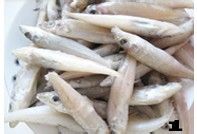 沙丁鱼的五大食用价值【软炸沙丁鱼】