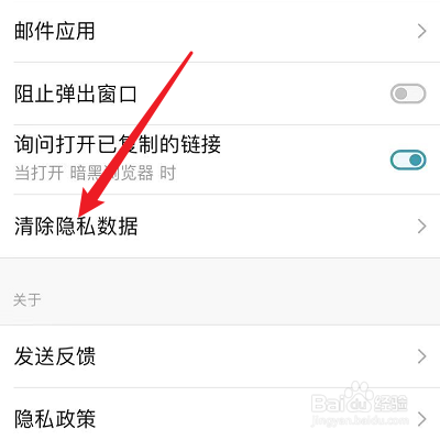 Dark Browser的离线网站数据怎么清除
