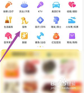 回南天猫咪怎么办