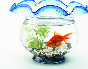 私房钱藏在哪里最保险