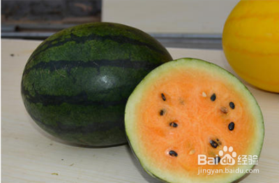 如何提高西瓜种子的发芽率