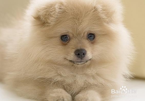 关节置换后怎样康复锻炼