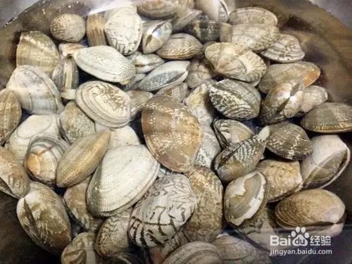 花甲买回家后怎么保持鲜活