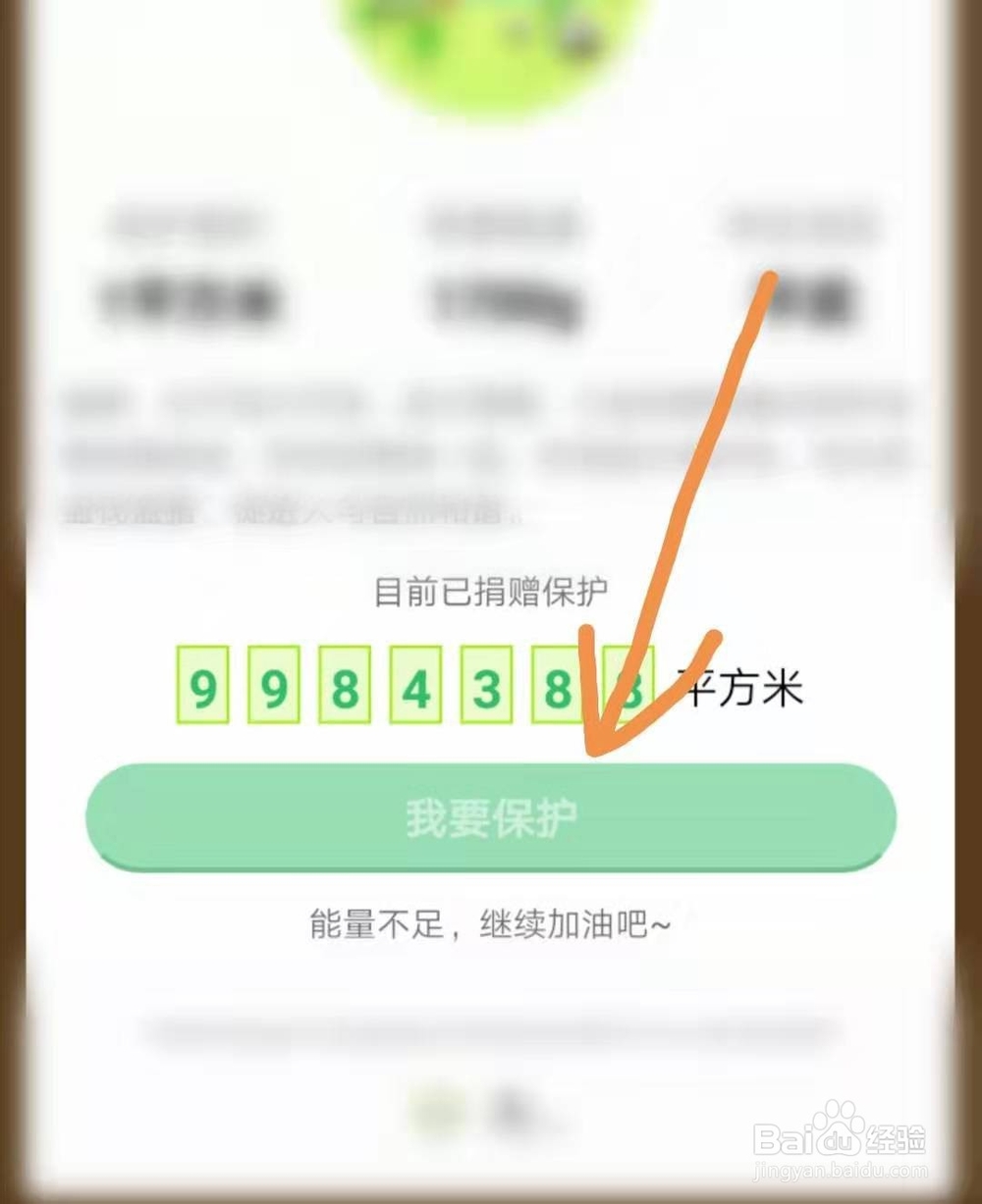 蚂蚁森林福寿保护地如何参加