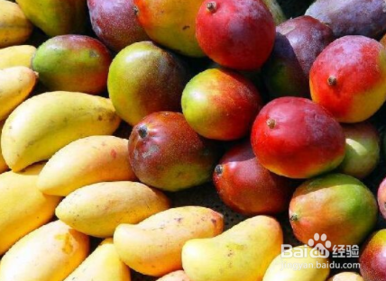 摘回来的青芒果怎么催熟