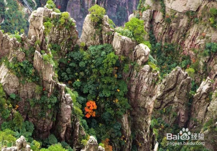 春夏秋冬四季游玩黄山风景区都穿什么样的衣服