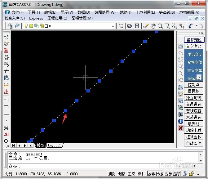 CASS中每隔10米提取坐标