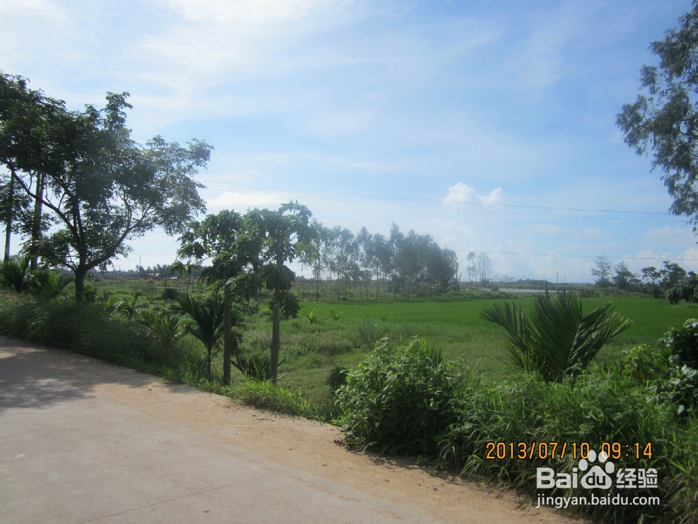 带你穷游海南的美景,县城的风情