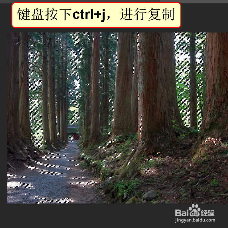 PS如何制作丁达尔光线效果