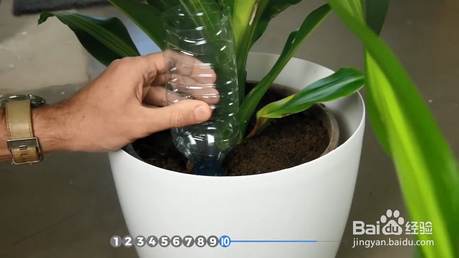 如何制作自动浇水神器？