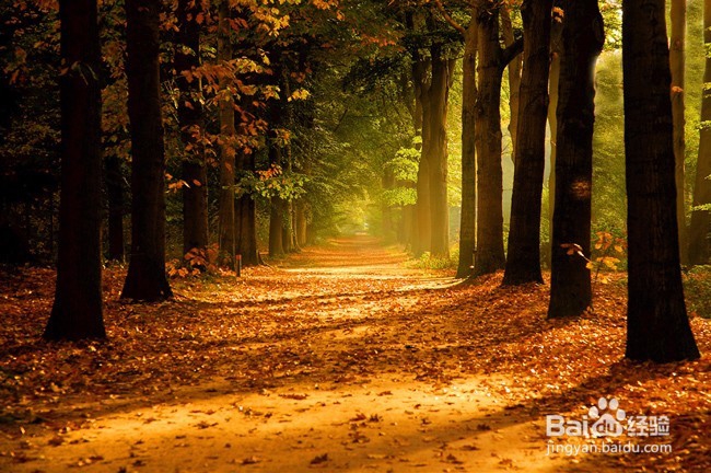 强迫症的自我调节