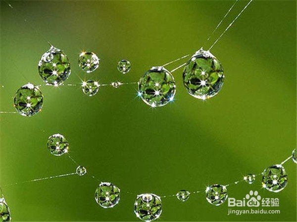 怎样拍出有想法的照片?