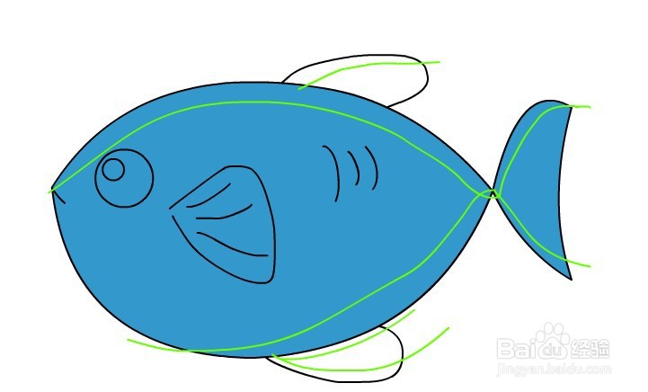 flash用矩形工具绘制一条小鱼的教程