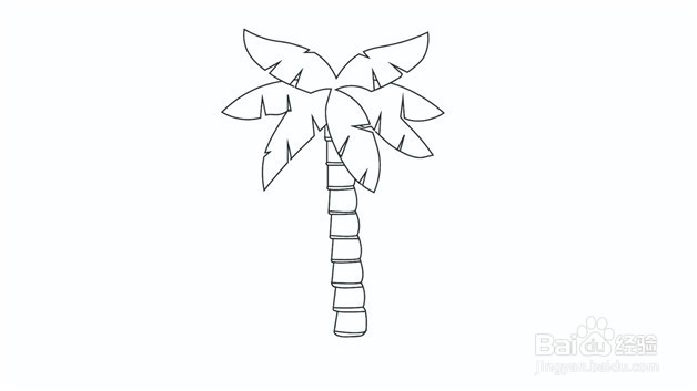 热带椰子树简笔画