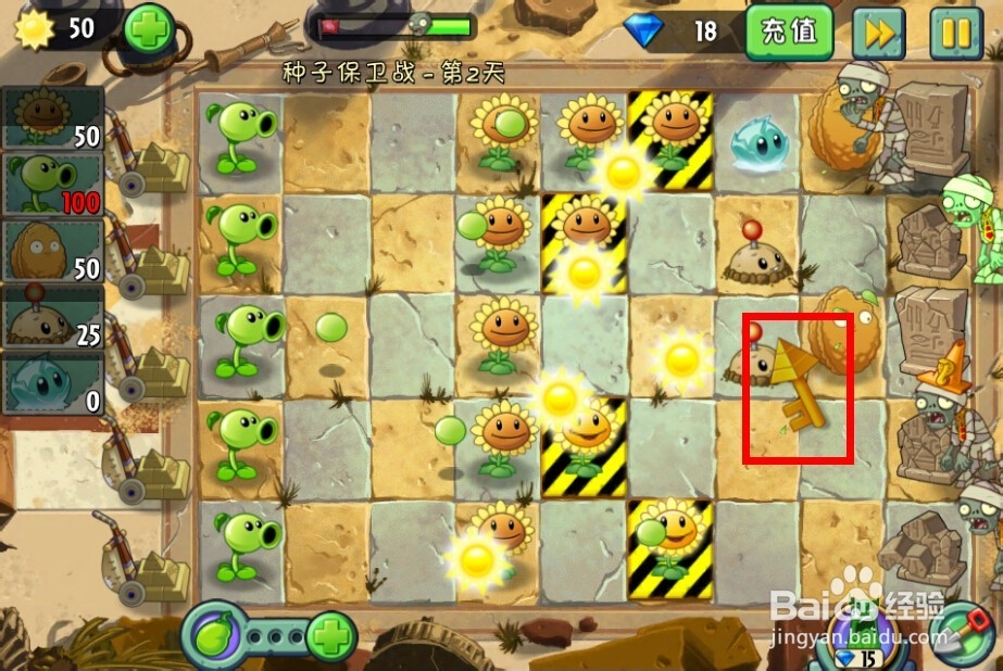 植物大战僵尸2：第2天的种子保卫战
