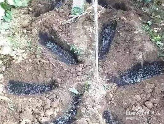 磷酸二氢钾的使用方法