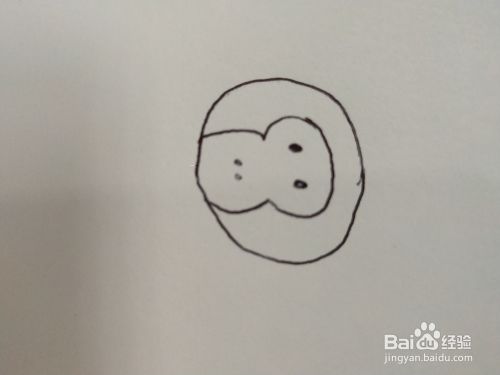 一只坐着的猴子简笔画介绍