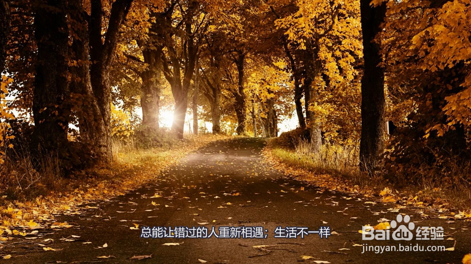 适合心情低落的朋友圈