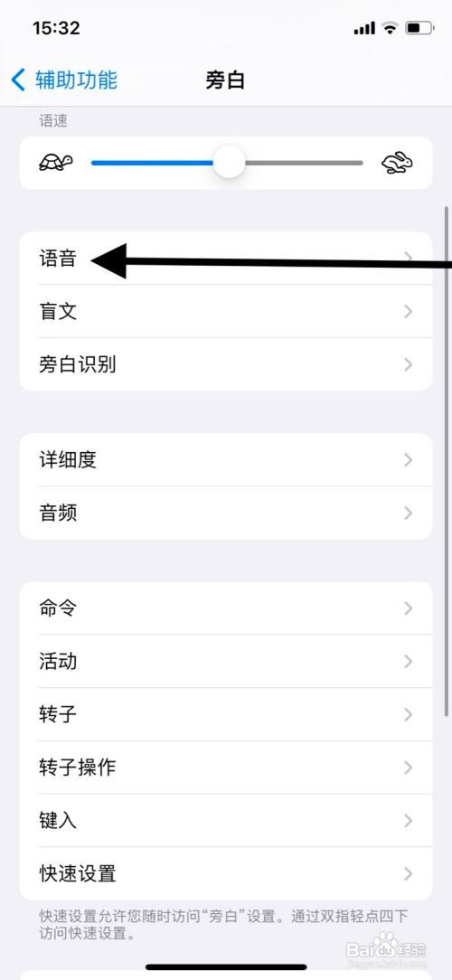 iPhone旁白“荷兰语(比利时)”转子语言添加