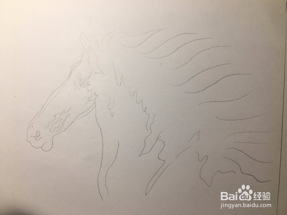 马的简笔画 马的抽象线描画
