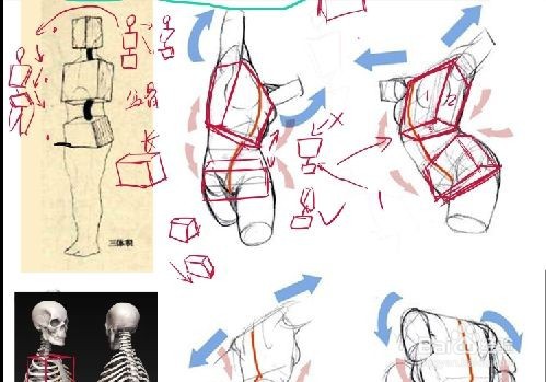日系插画的特征是什么？