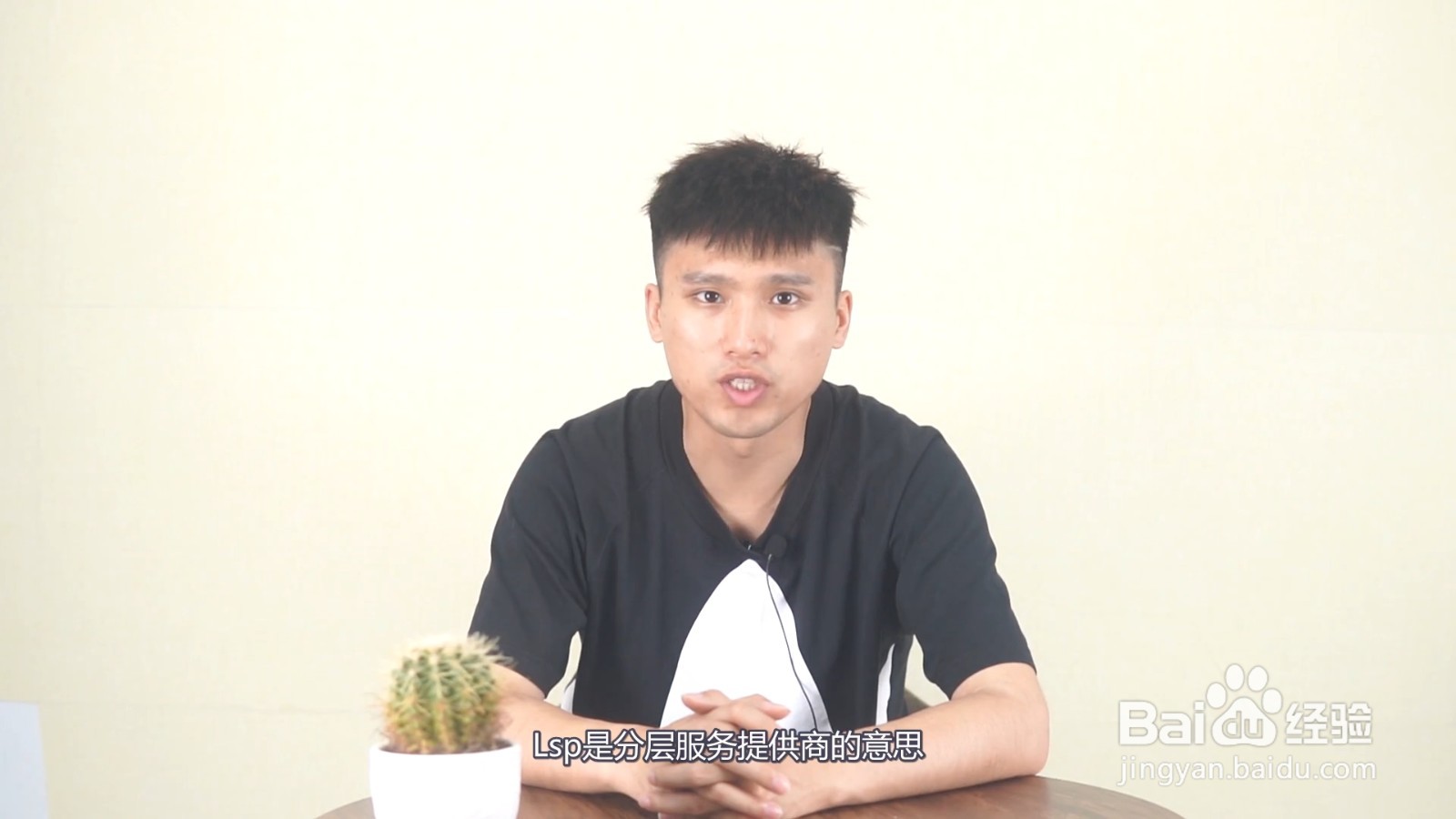 lsp是啥意思是什么