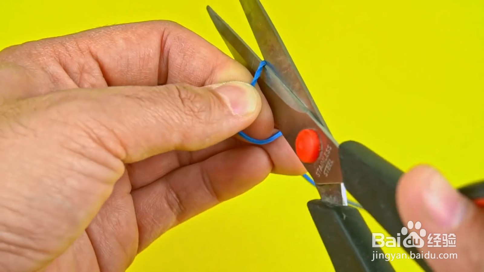 如何给小猫制作好玩的投食器？