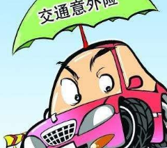 个人保险怎么买