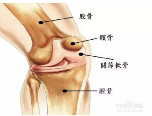 如何保养膝盖 怎么保养膝盖