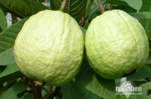 e076d77622bc7dc56f7fe6ea5e460596b91429b2.jpg?x-bce-process=image%2Fresize%2Cm_lfit%2Cw_500%2Climit_1