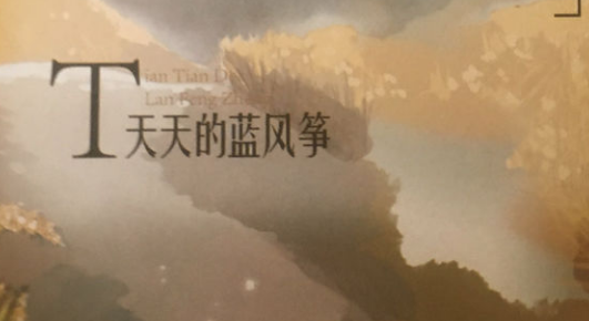 《天天的蓝风筝》读后感怎么写