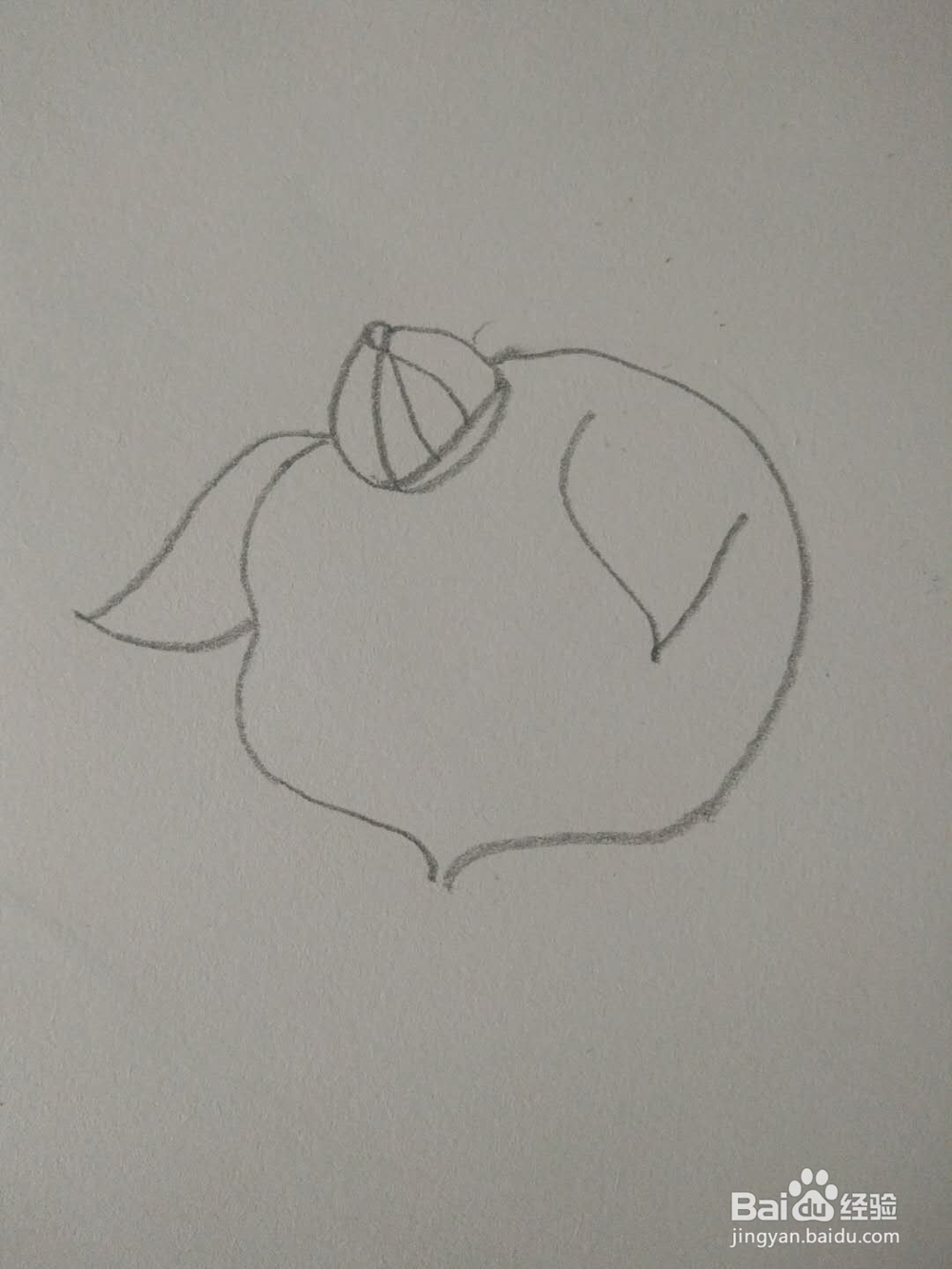 简笔画-如何画金猪拜年?