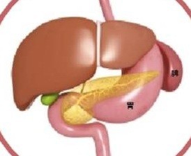 肌营养不良都有哪些治疗案例?壬九馨康