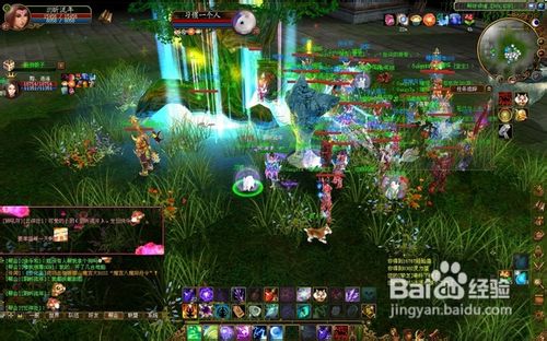 仙禽法定属性以及在战斗中如何使用密技