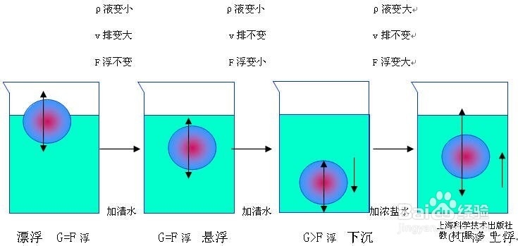 初中压强浮力复习思维导图