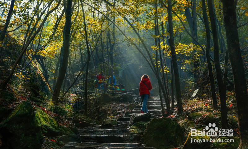 马仁奇峰国庆打卡攻略