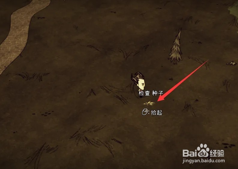 森林种子怎么获得