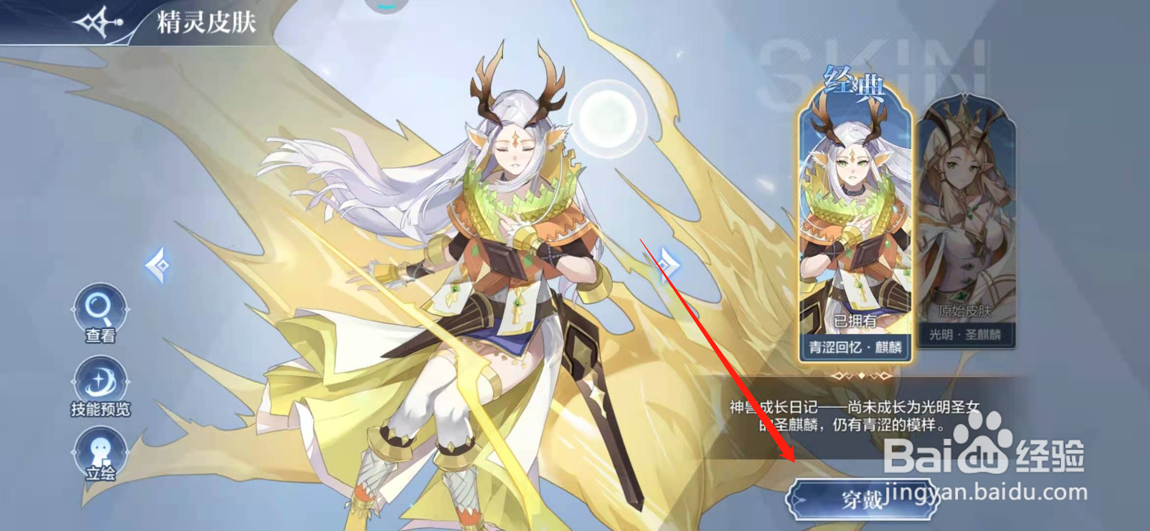 奥奇传说手游如何穿戴获得的精灵皮肤？