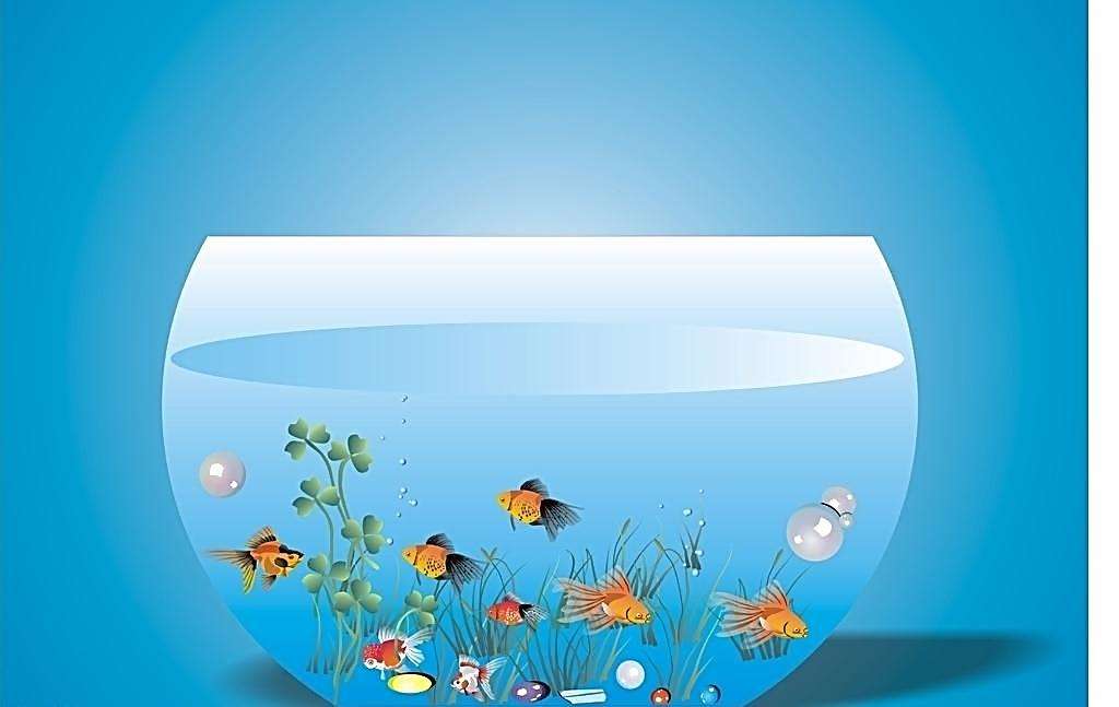 鱼缸水浑而且有鱼腥味重，怎么办