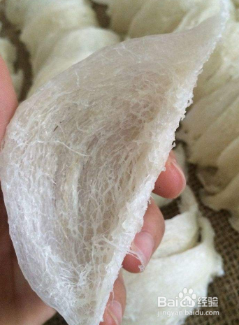 清炖燕窝的方法