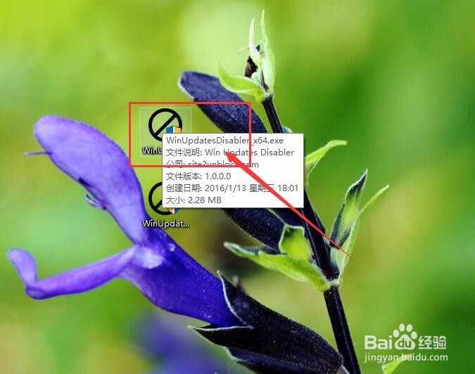 禁止系统自动升级Win10