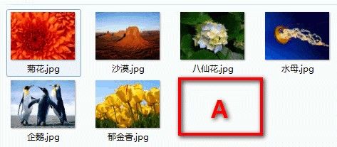 教你在Windows7系统设置显示隐藏文件夹的方法