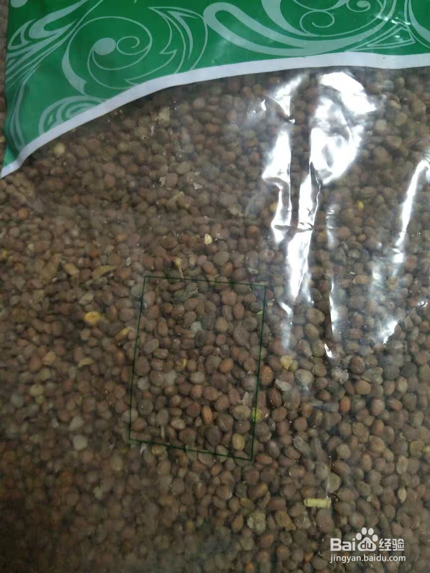 莱菔子的服用方法