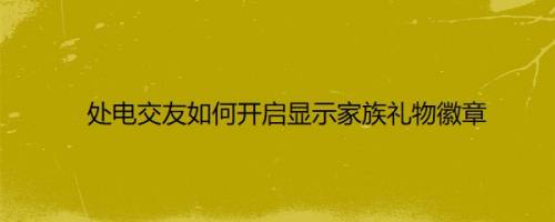 处电交友如何开启显示家族礼物徽章