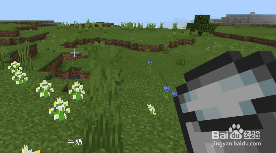 我的世界怎么消除不祥之兆