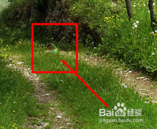 Win7系统如何更改鼠标指针