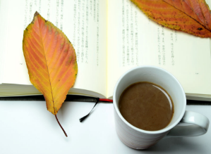 百度经验的撰写秘诀