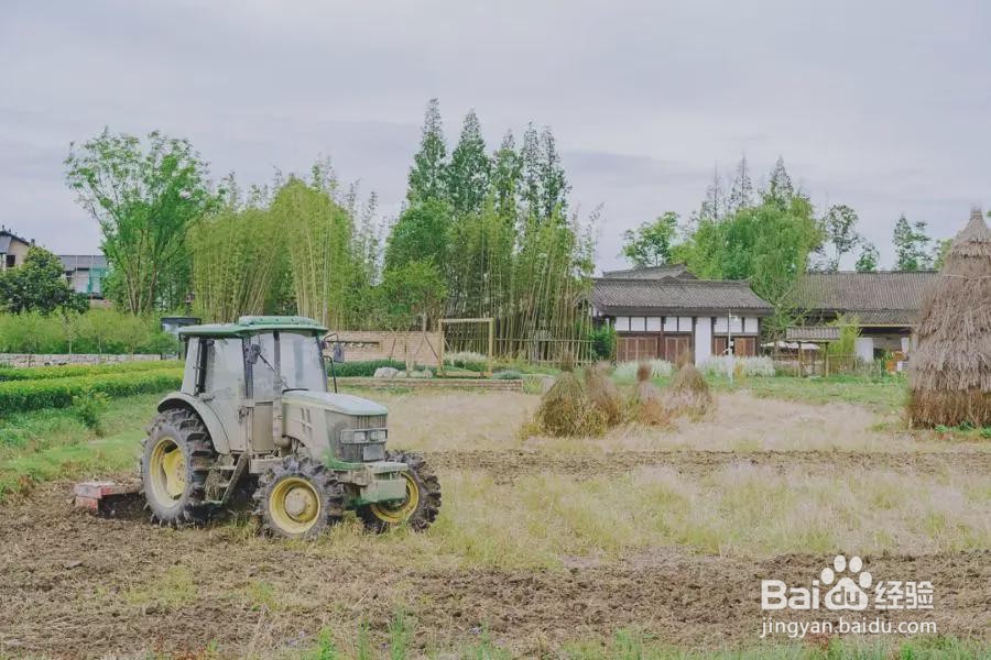朗基如何助推乡村发展
