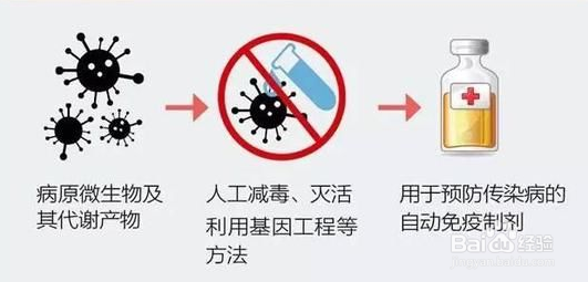 疫苗接种有哪些基本的常识
