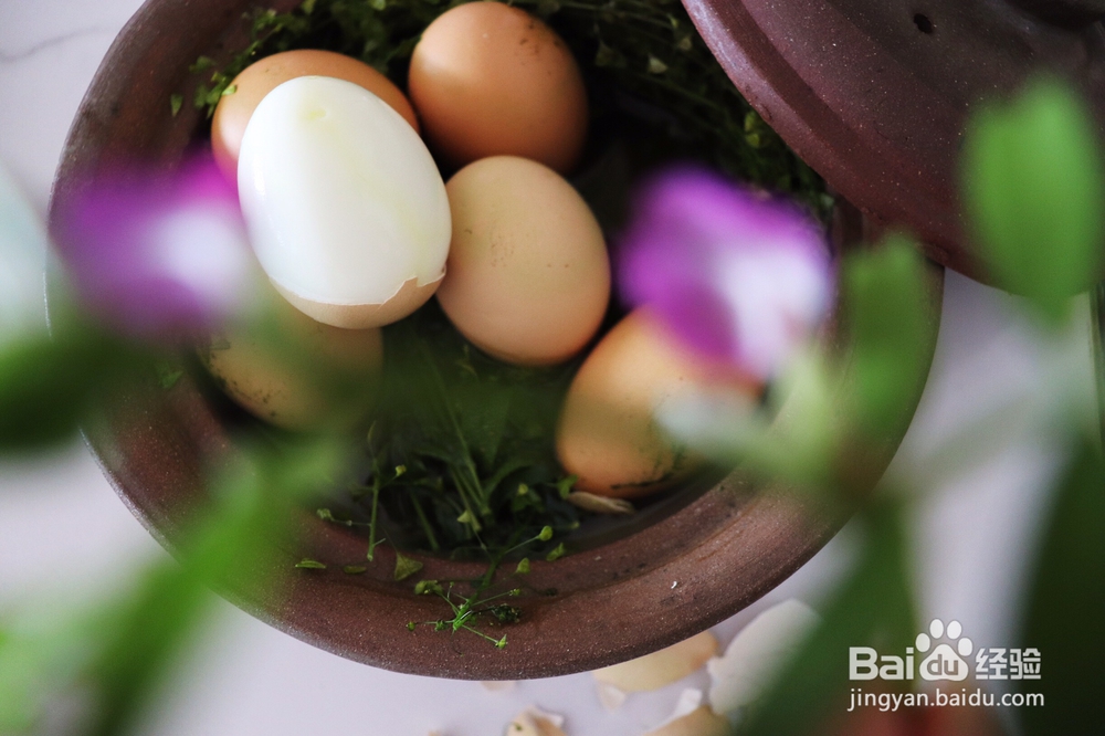 吃不胖的荠菜花煮鸡蛋